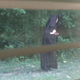 Illustration for article titled Today in End Is Near: A Cloaked Person Is Leaving Raw Meat at Playground